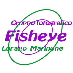 Logo Fisheye